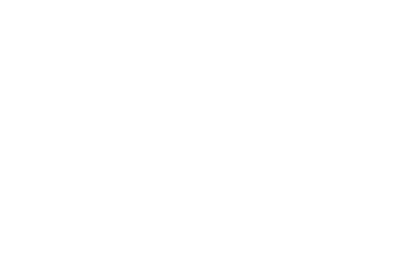 strappete logo bianco